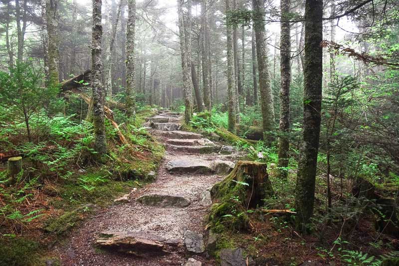 Deep Gap Hike near Mount Mitchell