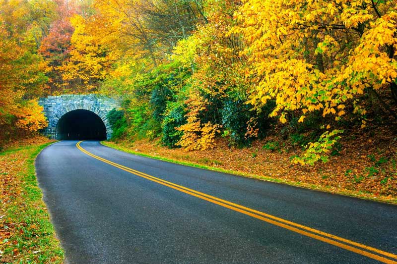 Blue Ridge Parkway section with fall colored trees and a mountain tunnel