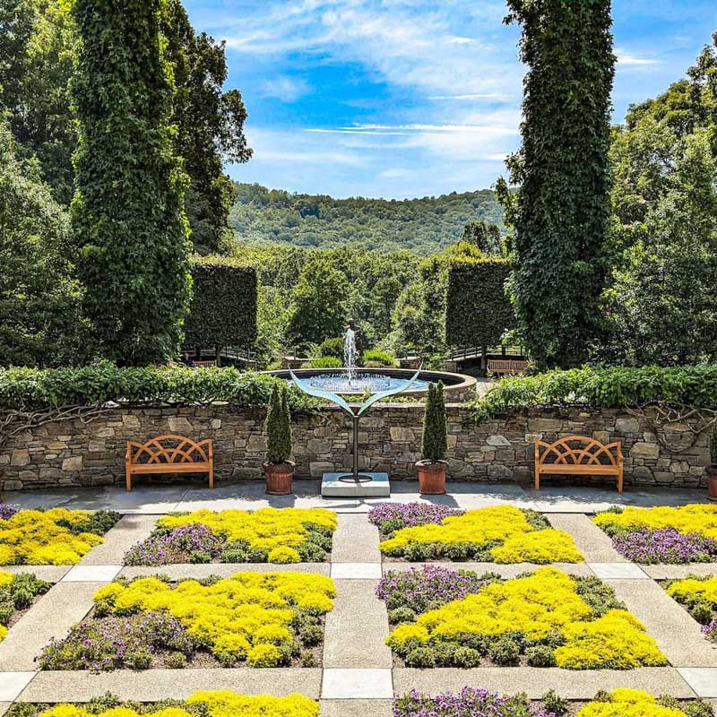 Flowers blooming at the North Carolina Arboretum