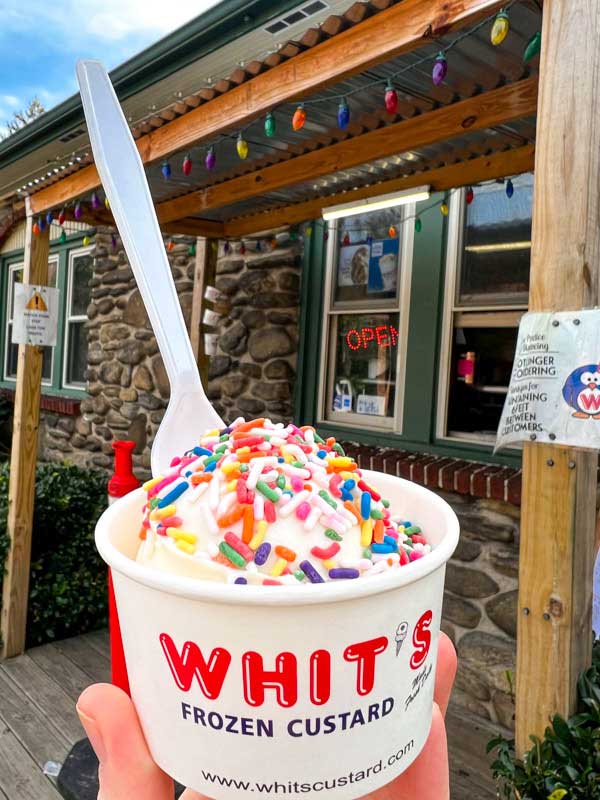Kid's cup of vanilla ice whit's Frozen custard with rainbow sprinkles
