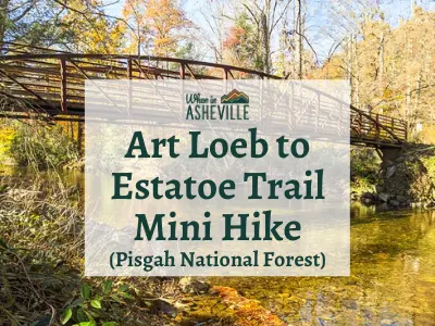 Bridge over Davidson River with text Art Loeb to Estatoe Trail Mini Hike