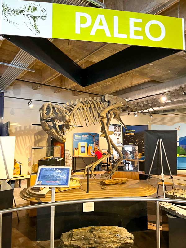 Your Guide to Visiting the Asheville Museum of Science - When In Asheville