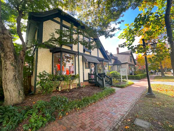 Dogwood Darling's Children's Shop in Biltmore Village