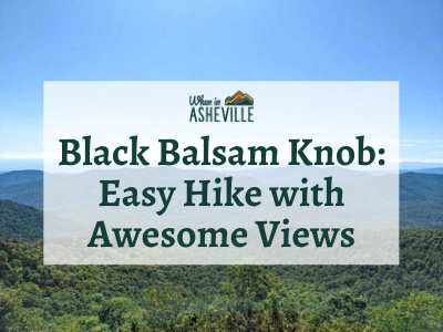 View from Black Balsam Knob with text "Black Balsam Knob: Easy hike with awesome views"
