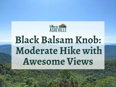 View from Black Balsam Knob with text "Black Balsam Knob: moderate hike with awesome views"