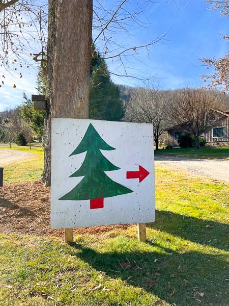 Christmas tree sign at Boyd Mountain Christmas Tree Farm in Waynesville, NC