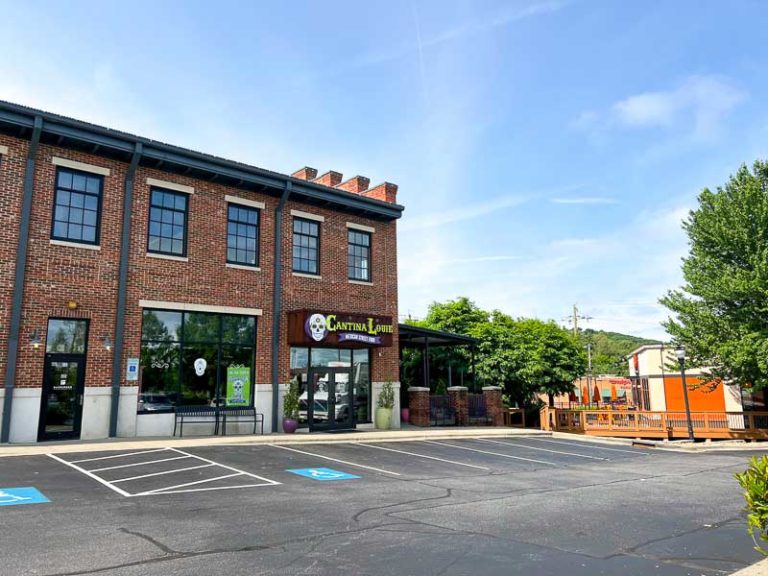 Guide To South Asheville Restaurants, Things To Do, Shopping