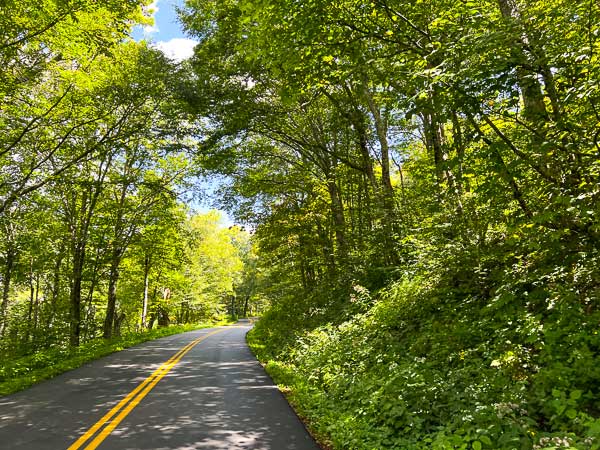 Road to the Craggy Gardens picnic area