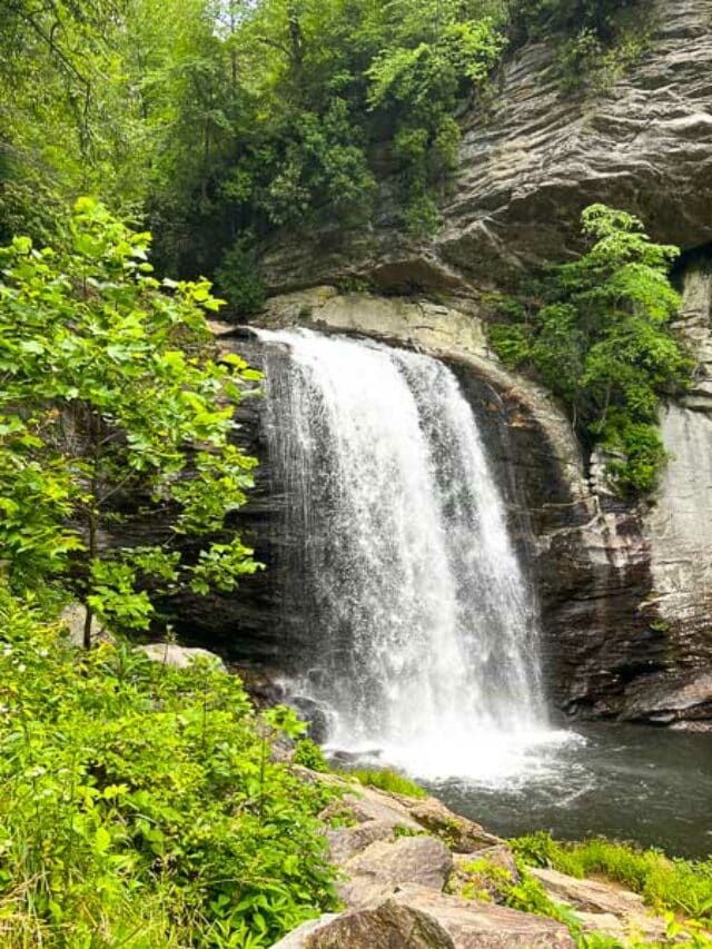 Things To Do With Kids In Brevard, NC