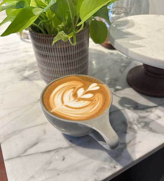 Latte from Dripolator coffee shop in South Asheville