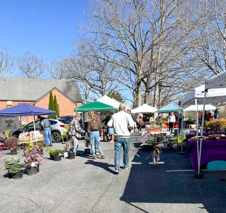 Your Guide to Asheville Farmers Markets When In Asheville