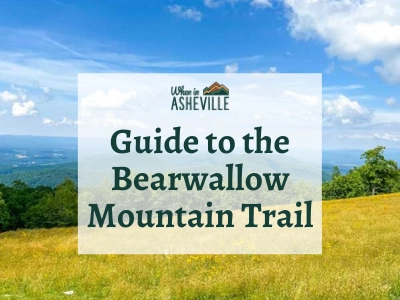 Cover to guide to Bearwallow Mountain trail post