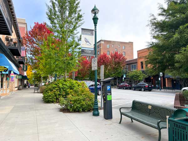 A view of Main Street in historic downtown Hendersonville, NC.