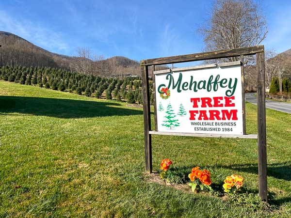 Mehaffey Tree Farm in Waynesville, NC sign