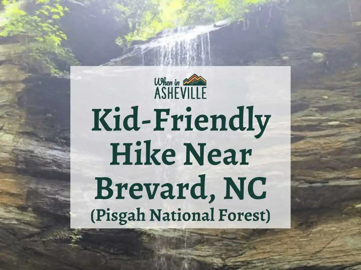 Moore Cove Falls waterfall with text "Kid-Friendly hike near Brevard, NC Pisgah National Forest"