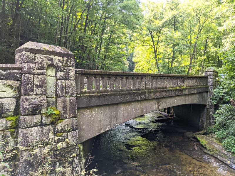 Bridge at Moore Cove Falls