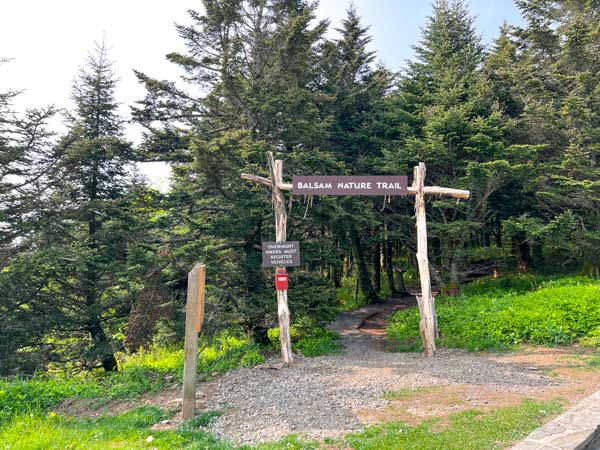 Entrance to the Balsam Nature Trail at Mount Mitchell