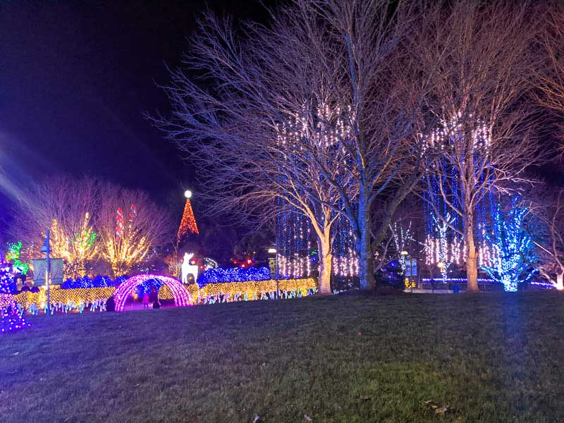 Winter Lights at the NC Arboretum