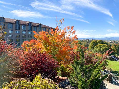 Fall foliage at the Grove Park Inn in Asheville, NC