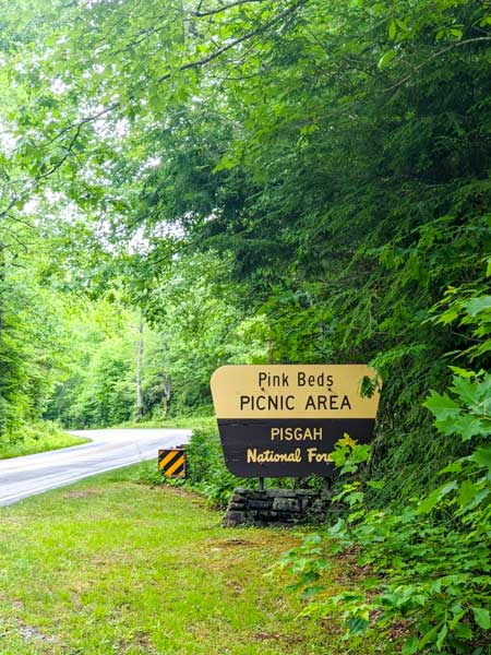 Pink Beds Picnic Area sign in Pisgah National Forest