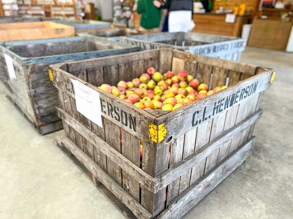 Bulk apple bin at Stepps Orchard in Hendersonville NC