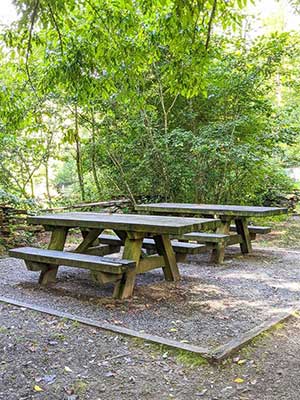 Two available picnic tables at Sycamore Flats in Pisgah Forest