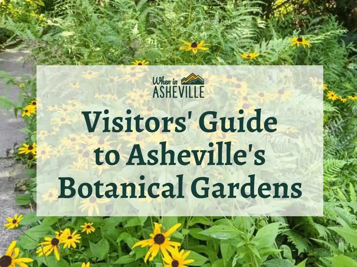 Flowers at the Asheville Botanical Garden with text "Visitors' Guide to Asheville's Botanical Gardens"