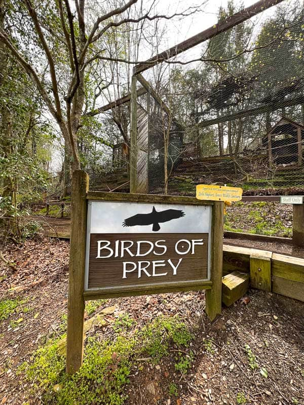 Birds of prey exhibit at the WNC Nature Center