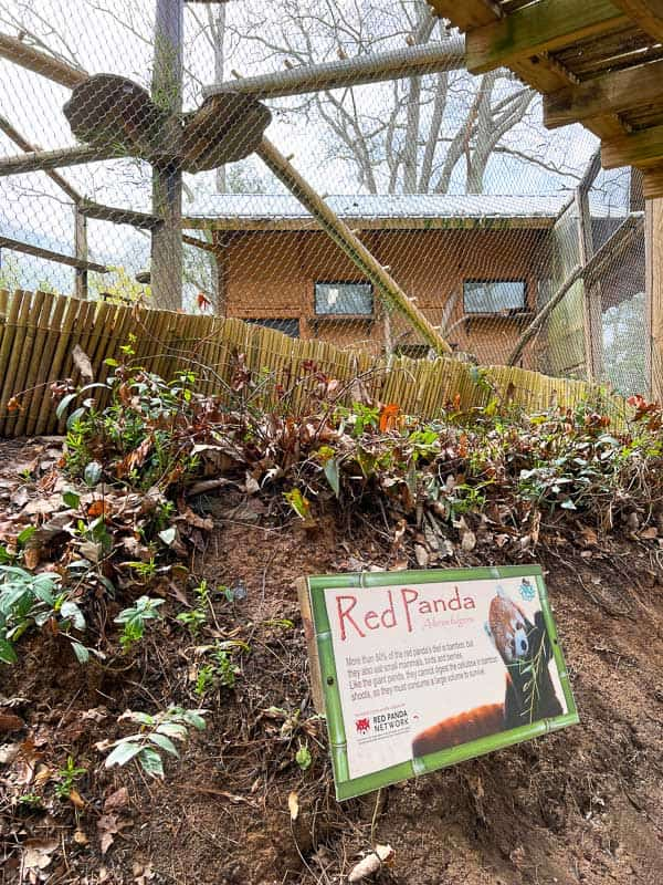 Red Panda exhibit at the WNC Nature Center